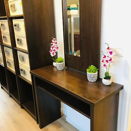 Hostel Mate Amsterdam Zaandam